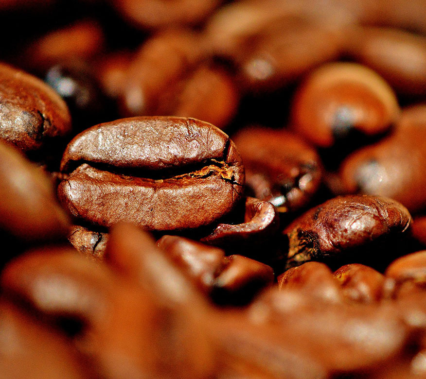 THE WORLD'S THREE MAJOR COFFEE GROWING REGIONS