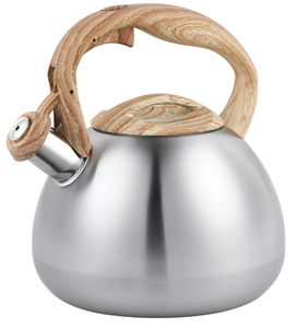 New Style Stainless Steel Whistling Teapot Unique Teapot with Painted 2.8l