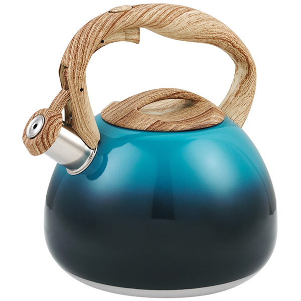Is a Stainless Steel Whistling Tea Kettle Right For You?
