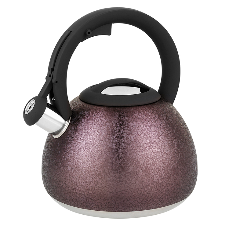 Whistling Tea Kettle by HAOHE