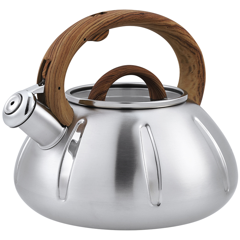 Stainless Steel Whistling Kettle 